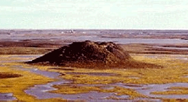 Ibyuk Pingo, NWT, Cananda - Source: Helen Kerfoot, NRC